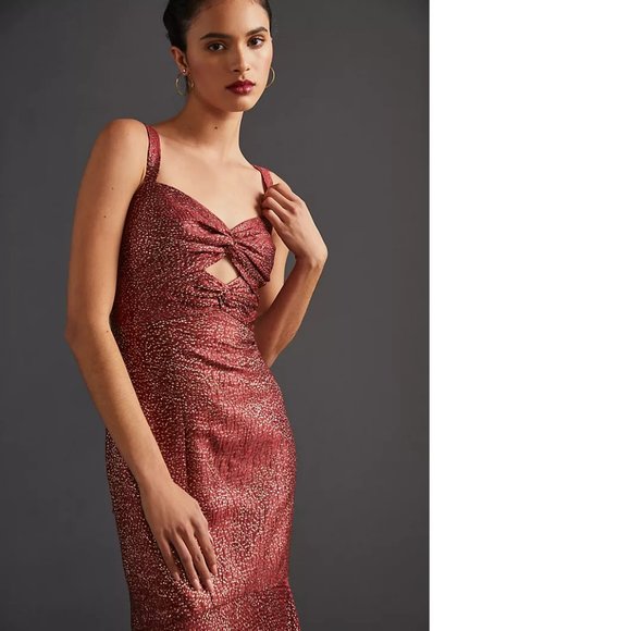 ML Monique Lhuillier Flounced Maxi Dress size 2p new with tag - Picture 3 of 9